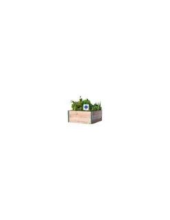 Bac Douglas Potager Design 80 X 75 X 36 Cm