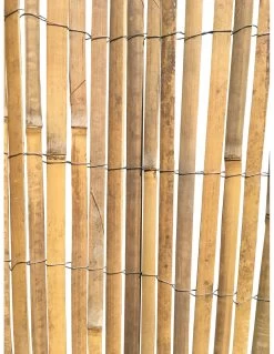 Canisse Latte En Bambou Naturel 1,5 X 3 Mètres - JANY