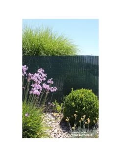 Canisse Plastique Double Face JANY - Vert 1,50 X 3 Mètres -Art de jardin pour la maison canisse plastique double face jany vert 150 x 3 metres 2