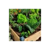 Carré Potager Douglas Premium 126 X 126 X 14 Cm -Art de jardin pour la maison carre potager douglas premium 126 x 126 x 14 cm