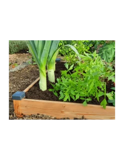 Carré Potager Douglas Premium 126 X 126 X 14 Cm -Art de jardin pour la maison carre potager douglas premium 126 x 126 x 14 cm 2