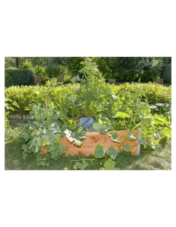 Carré Potager Keyhole 170 X 120 X 48 Cm -Art de jardin pour la maison carre potager keyhole 170 x 120 x 48 cm 3