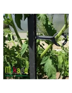 Lot De 6 Attaches Pour Tuteur à Tomate MIKADO 180 Cm - Anthracite / Mosse