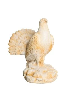 Pigeon Paon H.35 Cm Coloris Au Choix