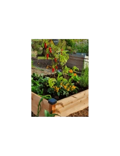 Potager Douglas Premium Haut -Art de jardin pour la maison potager douglas premium haut 2