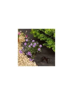 Toile De Paillage 1m X 15 M -Art de jardin pour la maison toile de paillage 1m x 15 m 2